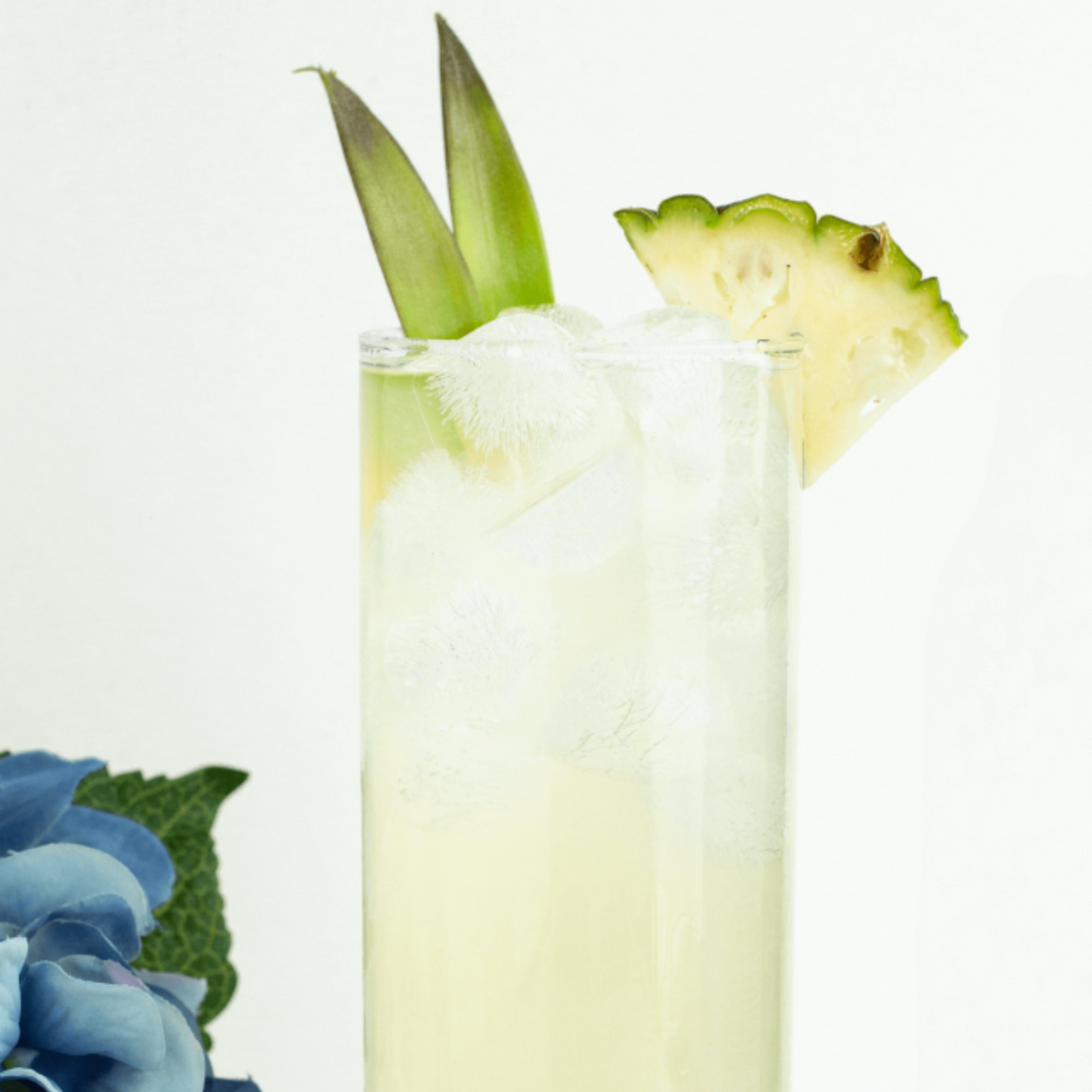 Fresh Fruit Soda Mocktail